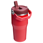 The IceFlow™ Flip Straw Tumbler | 20 OZ - Stanley Create