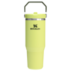 The IceFlow™ Flip Straw Tumbler | 30 OZ