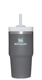 The Quencher H2.0 FlowState™ Tumbler | 20 OZ - Stanley Create